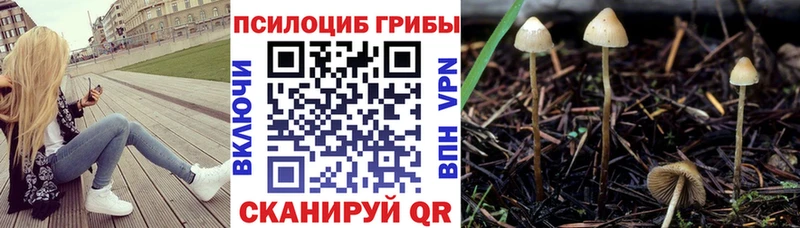 KRAKEN онион  магазин    Облучье  Псилоцибиновые грибы ЛСД 